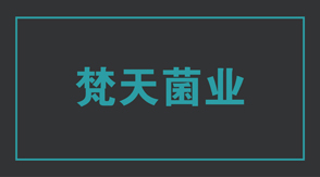 食品行业南昌冲锋衣设计款式